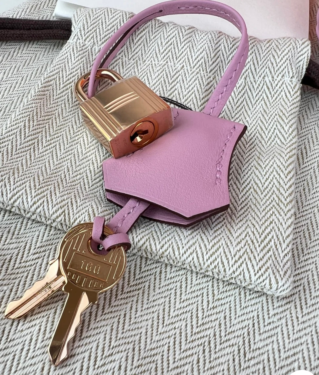 Hermes Birkin 25 Mauve Sylvester