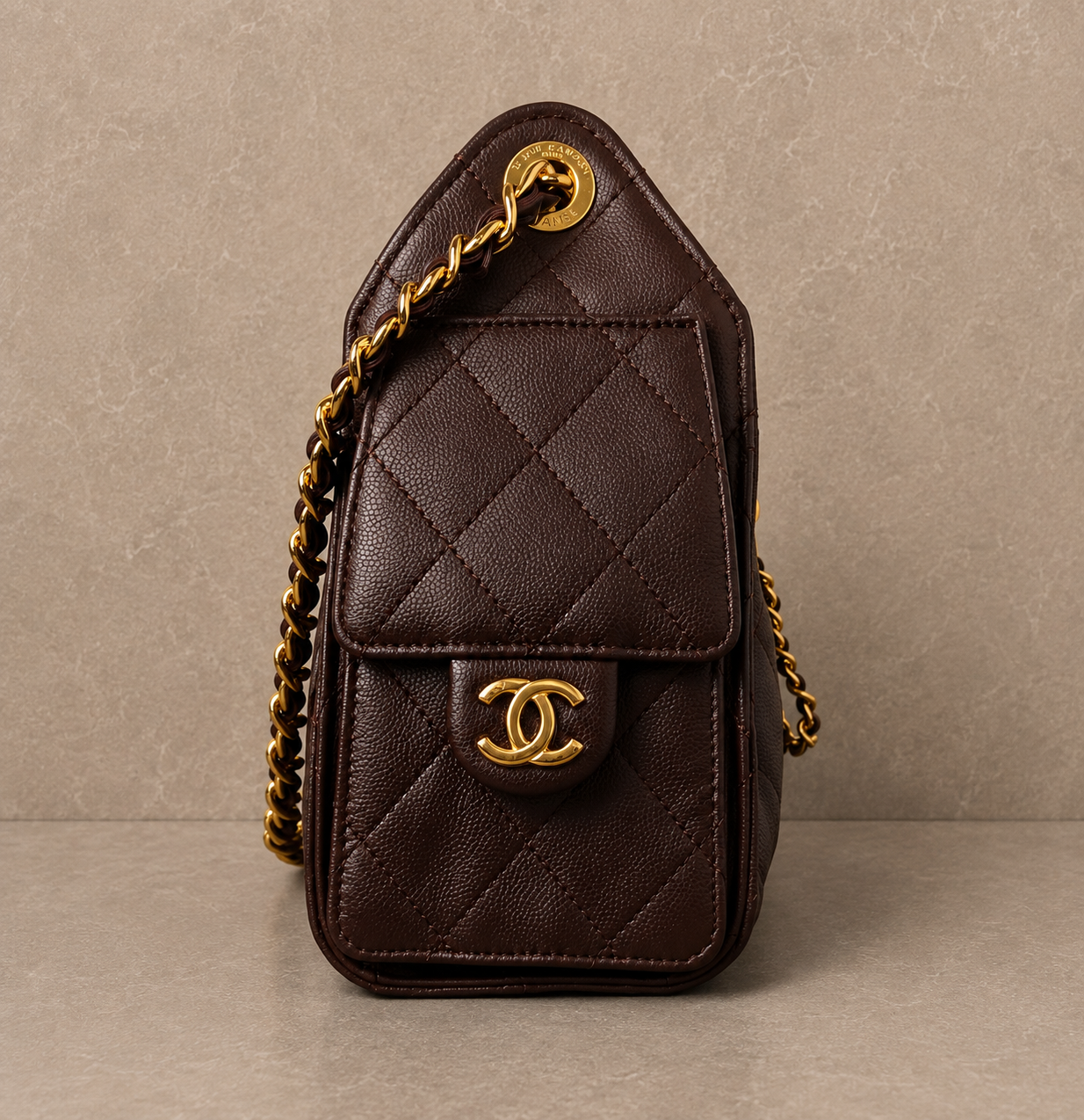 Chanel 25 Mini Brown Leather Bag