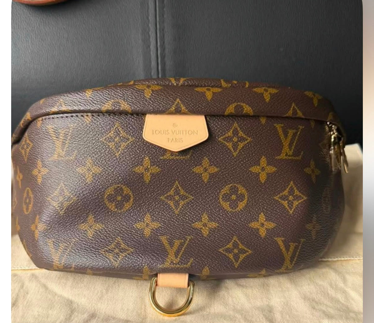 Louis Vuitton Bum Bag