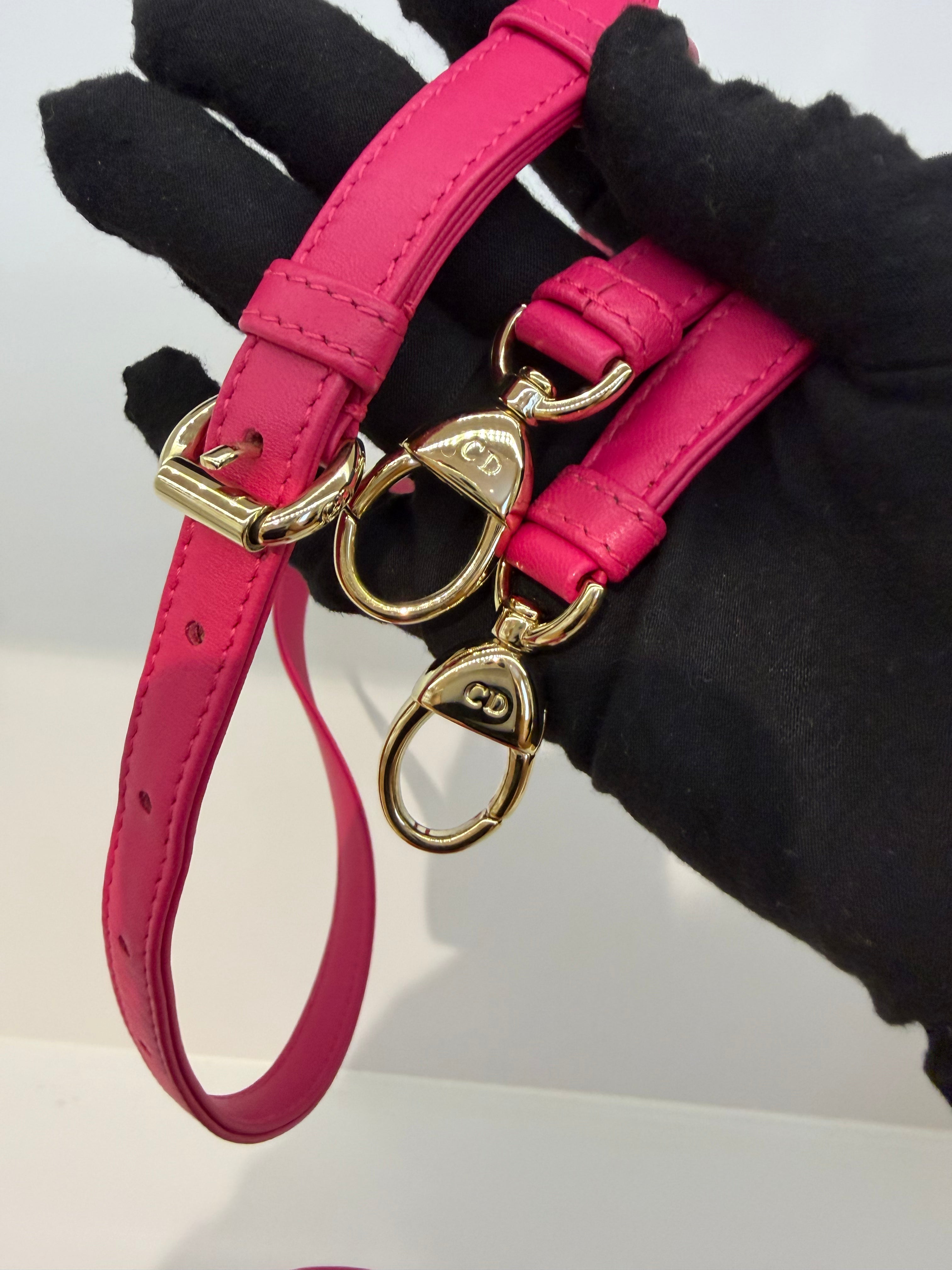 Lady Dior Mini Pink